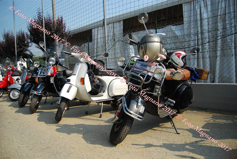 DSC_4925.JPG